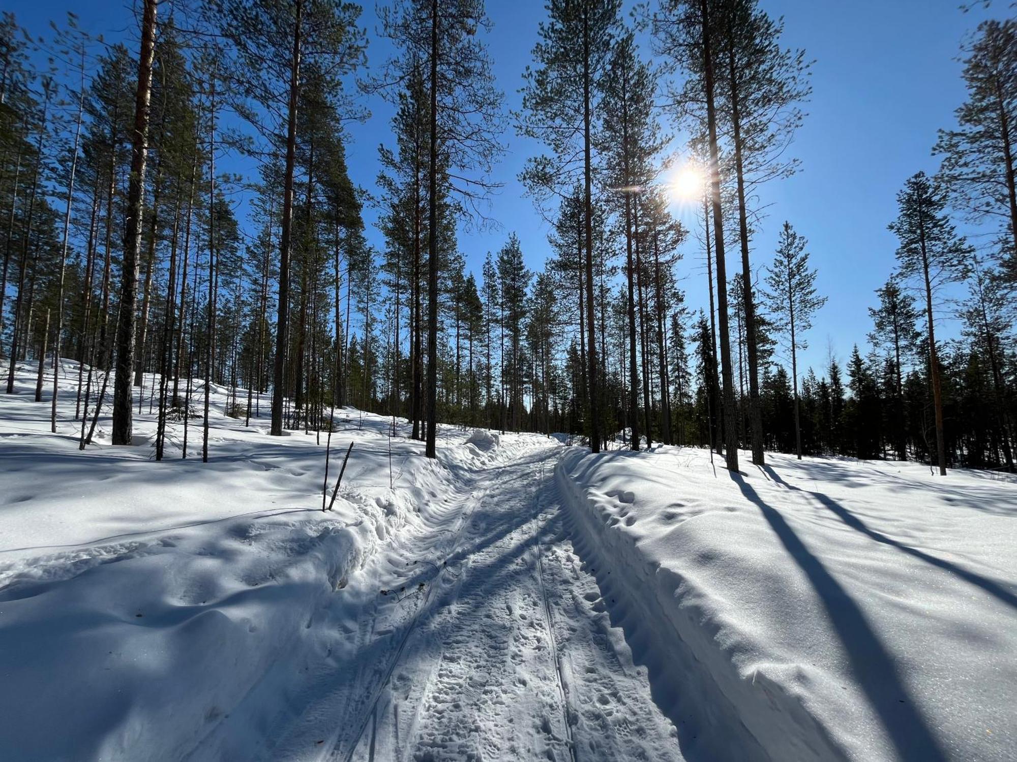 רובניימי Log Cottages In 10 Min From Santa Claus Village-Sauna&Freeparking מראה חיצוני תמונה